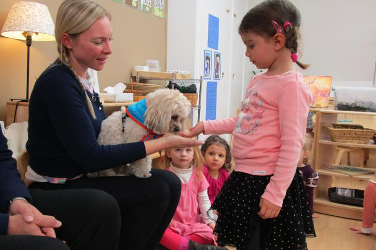 therapy dogs in schools, child feeding dog, little dude